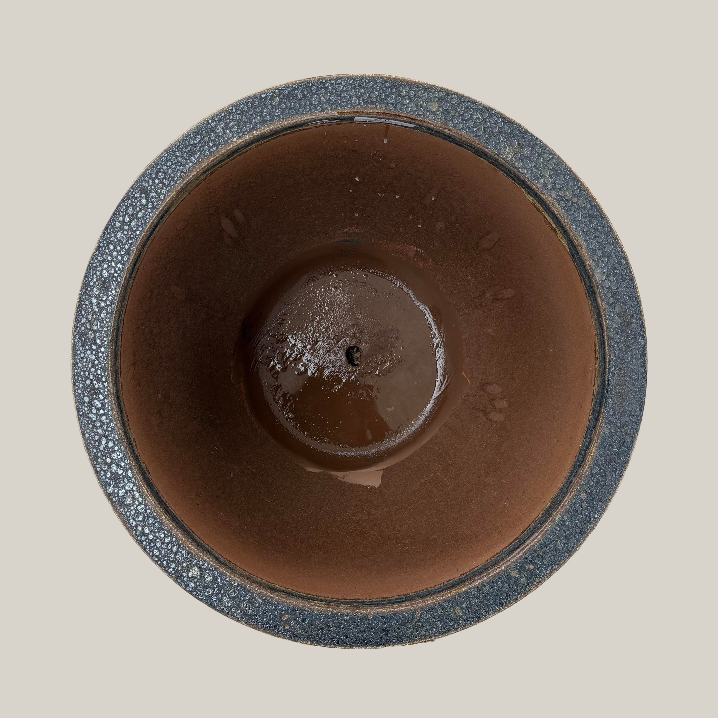 Top view of black coral lion egg planter showing circular opening and natural textured interior finish
