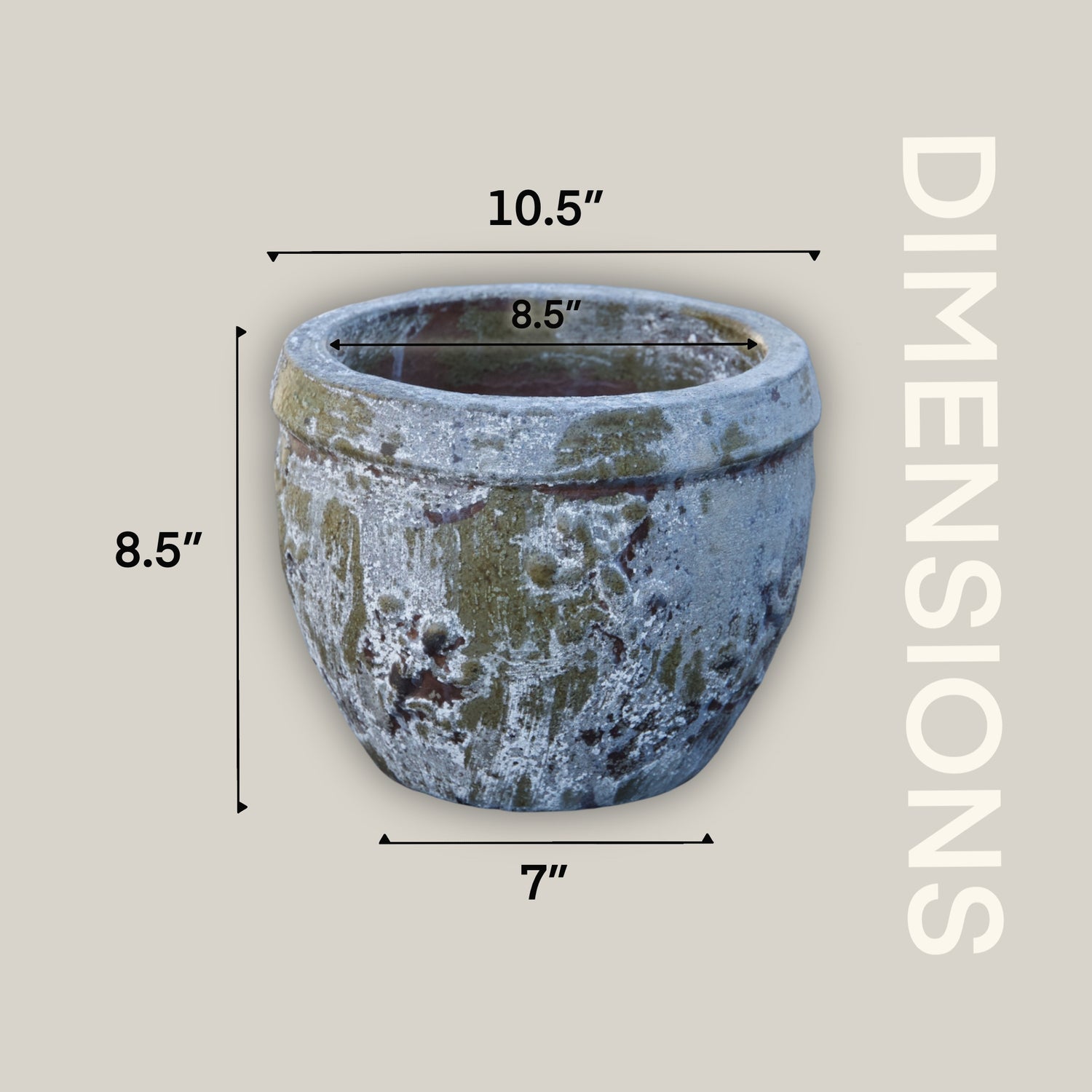 8151N66 - Antique Marble Green Gecko Planter