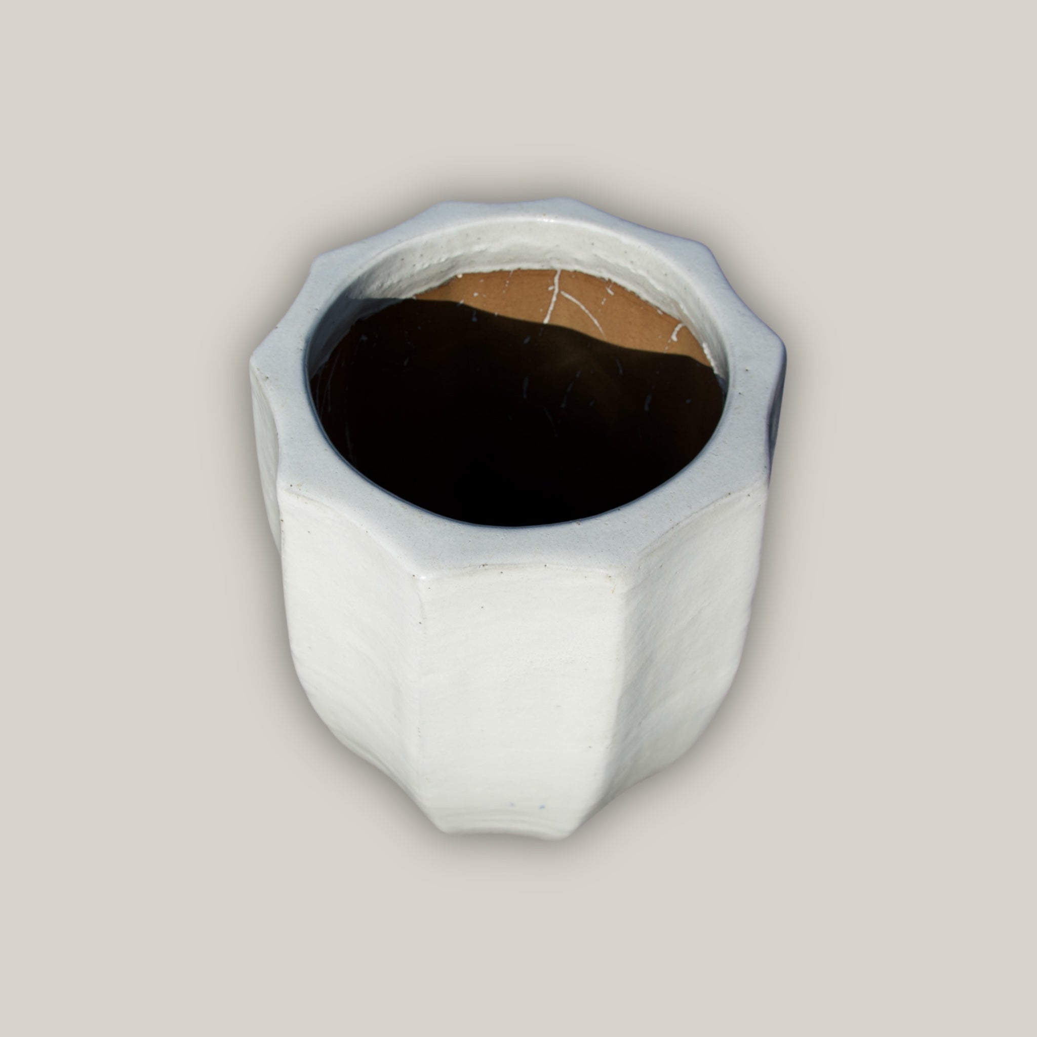 6078H25 - White Star Fruit Planter