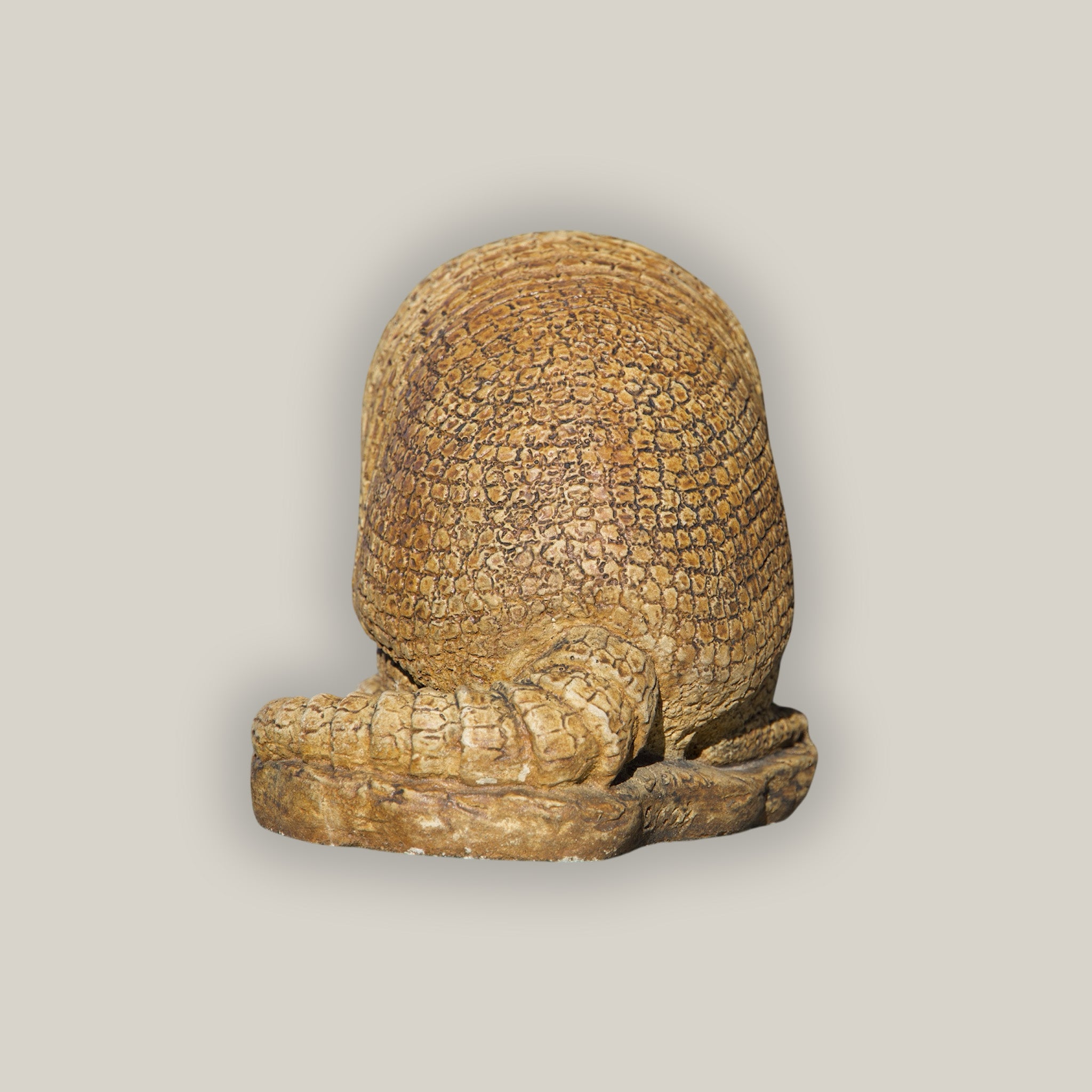 Back view of Gold Armadillo statue décor