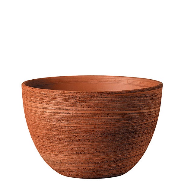 Terra cotta Bell Azalea Scratch 13"