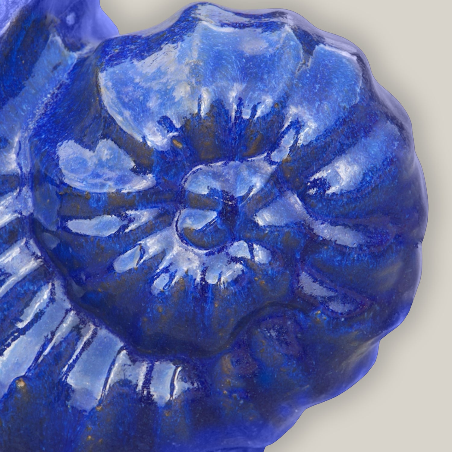 close up view of blue shell planter