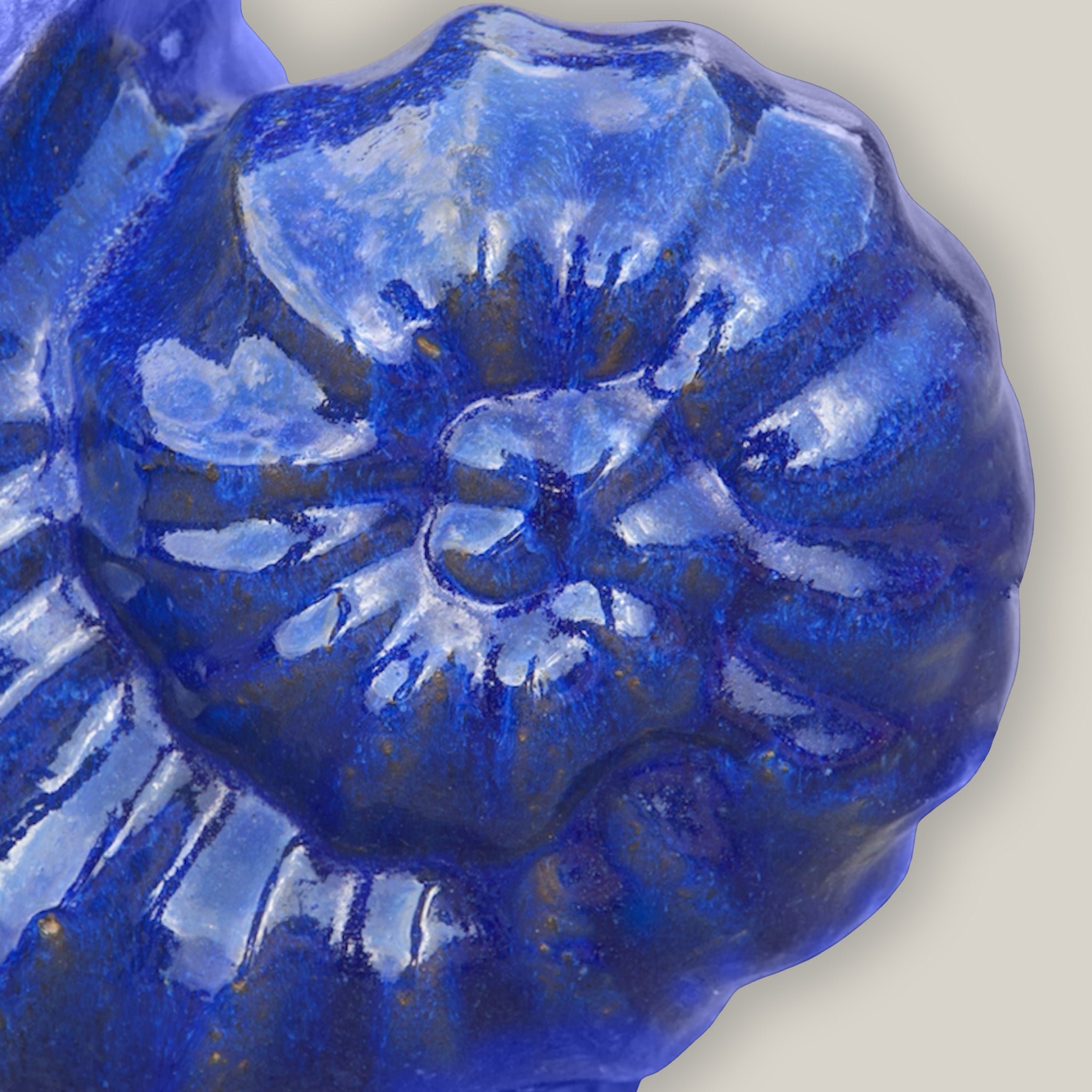 close up view of blue shell planter