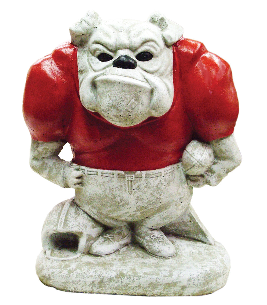 Football Dog Pnt