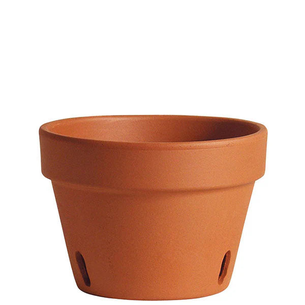 Terra Cotta Orchid Pot 6.7"