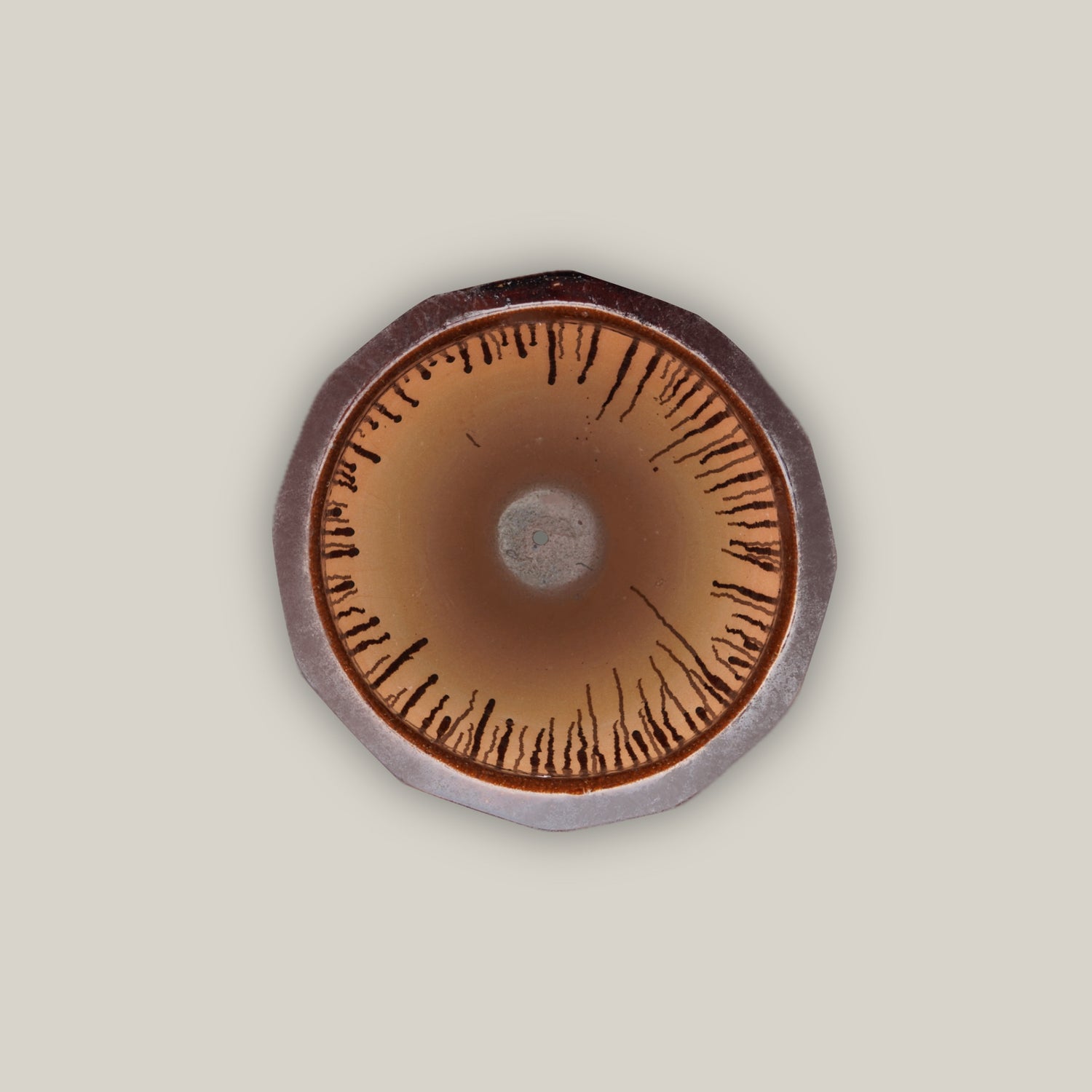 9995C10 - Brown Pineapple Round Ceramic Planter