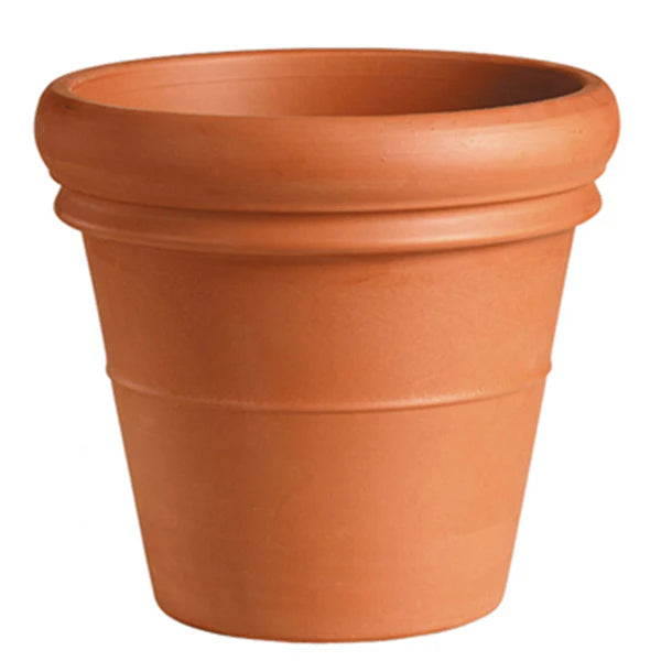 Terra Cotta heavy rim pot