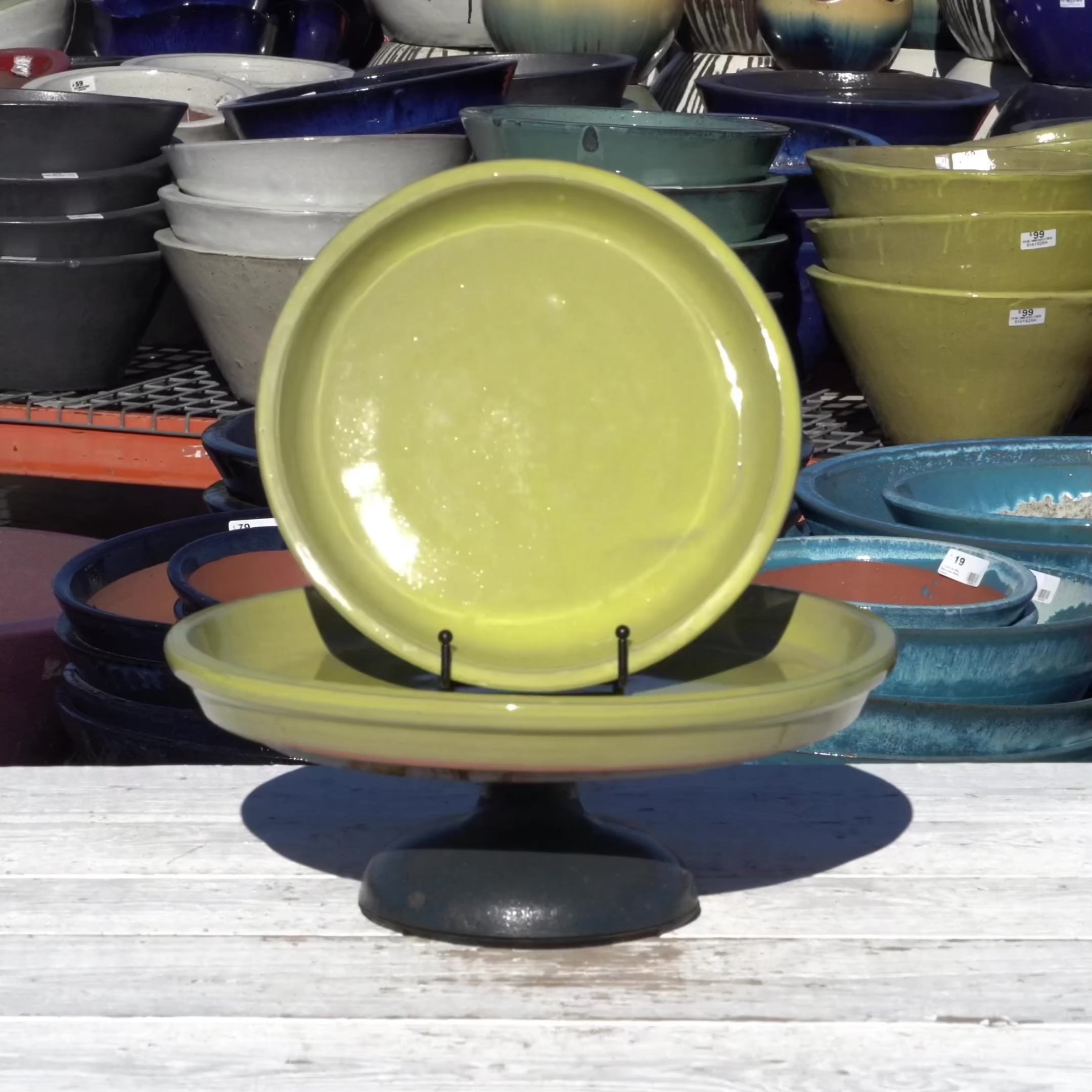 Yellow Round Ceramic Saucer - Lion - Ten Thousand Pots - video