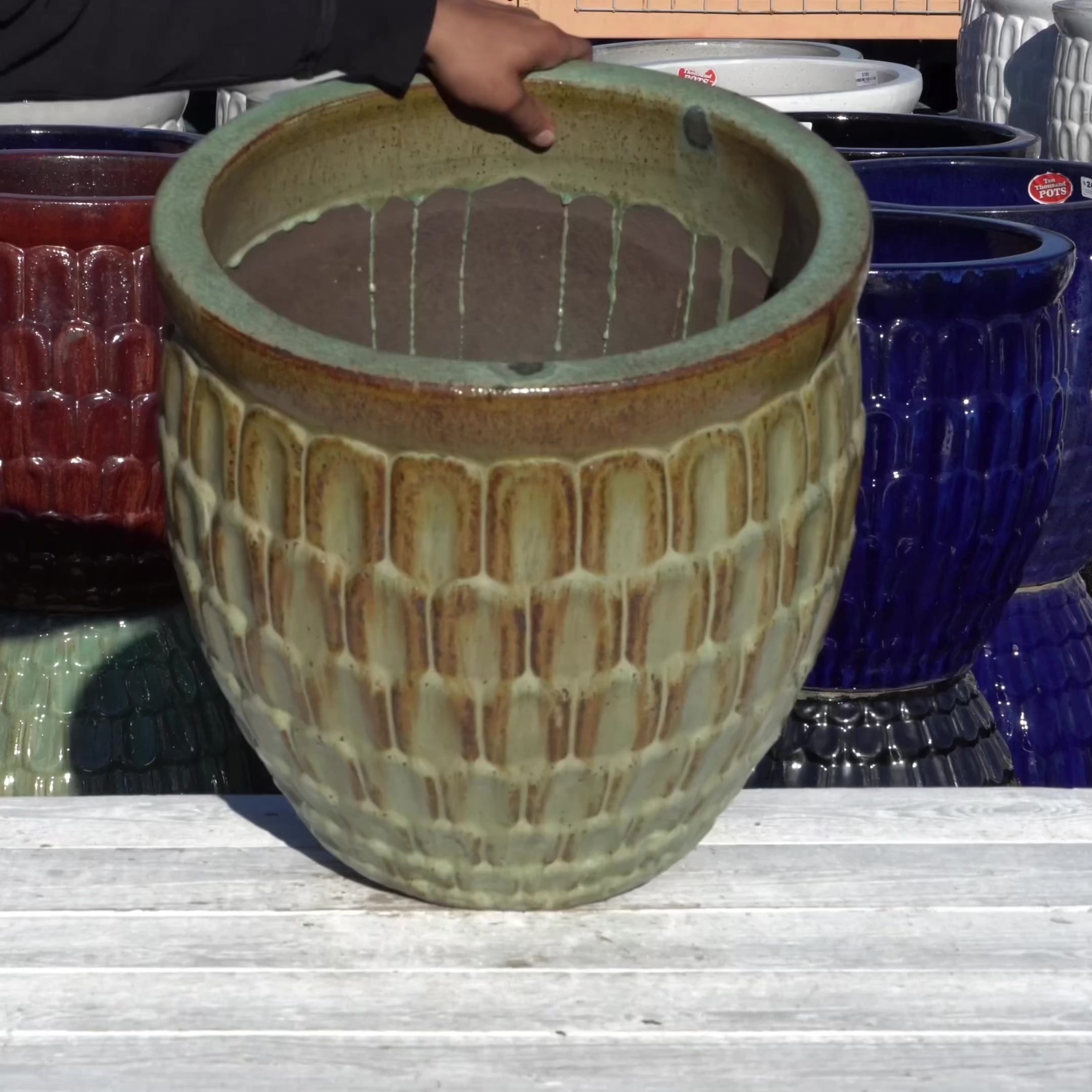 6051H19 - Speckled Avocado Dragon Scale Pot