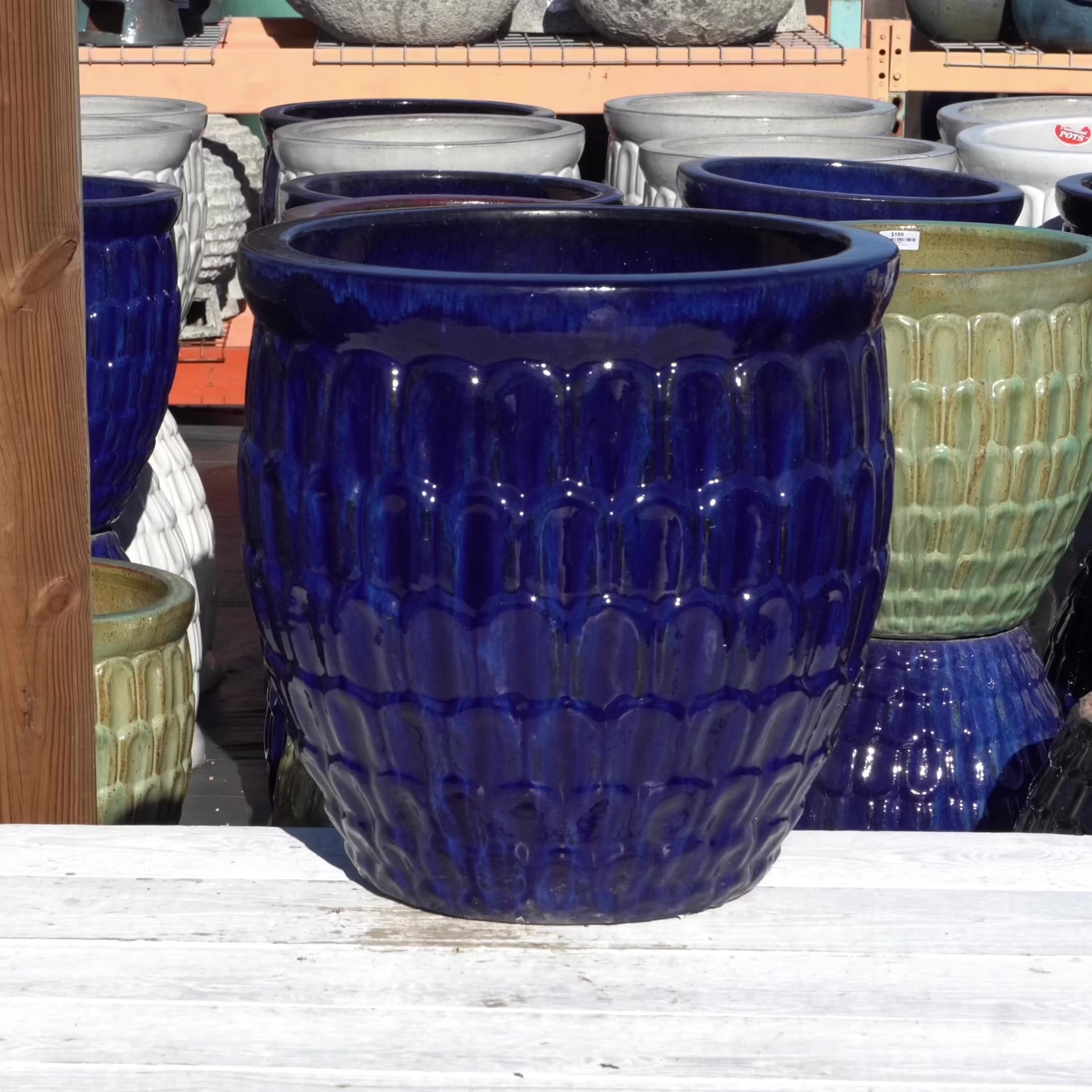 Blue planter with dragon scale design hihglights