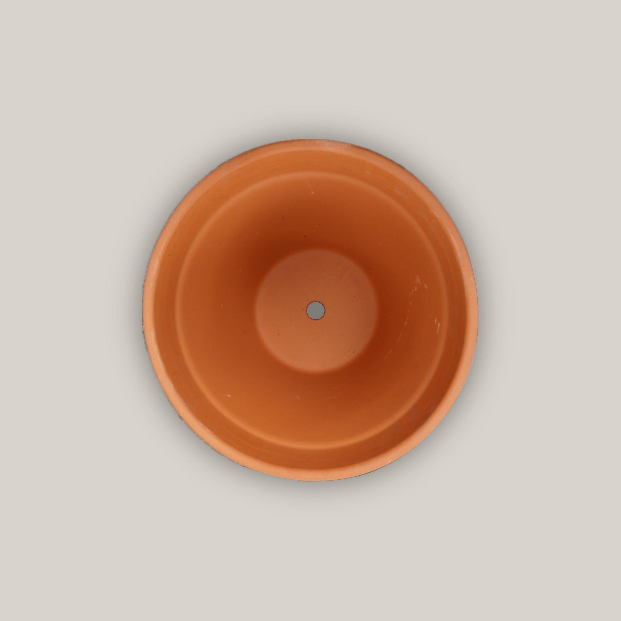 Terracotta Standard Pot