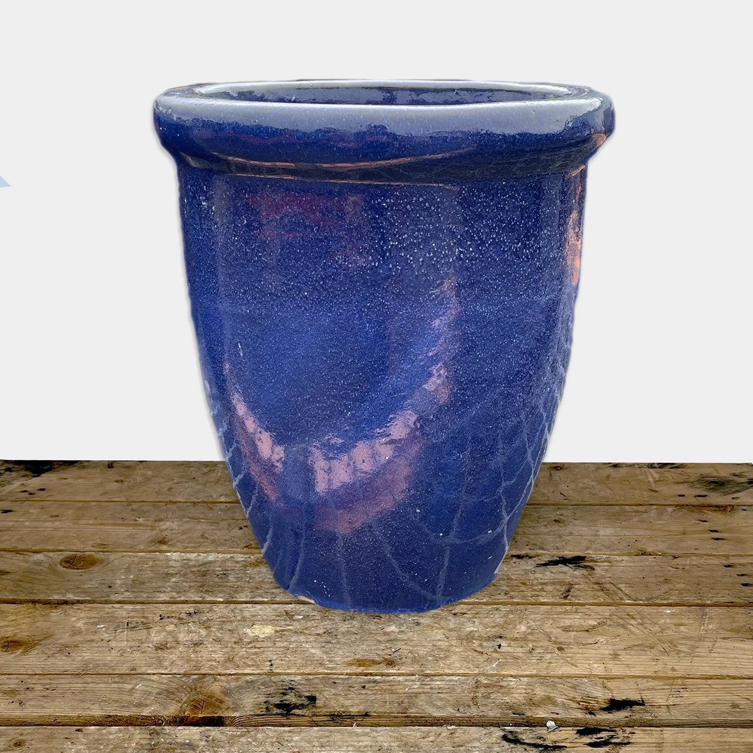Blue Cana Pot