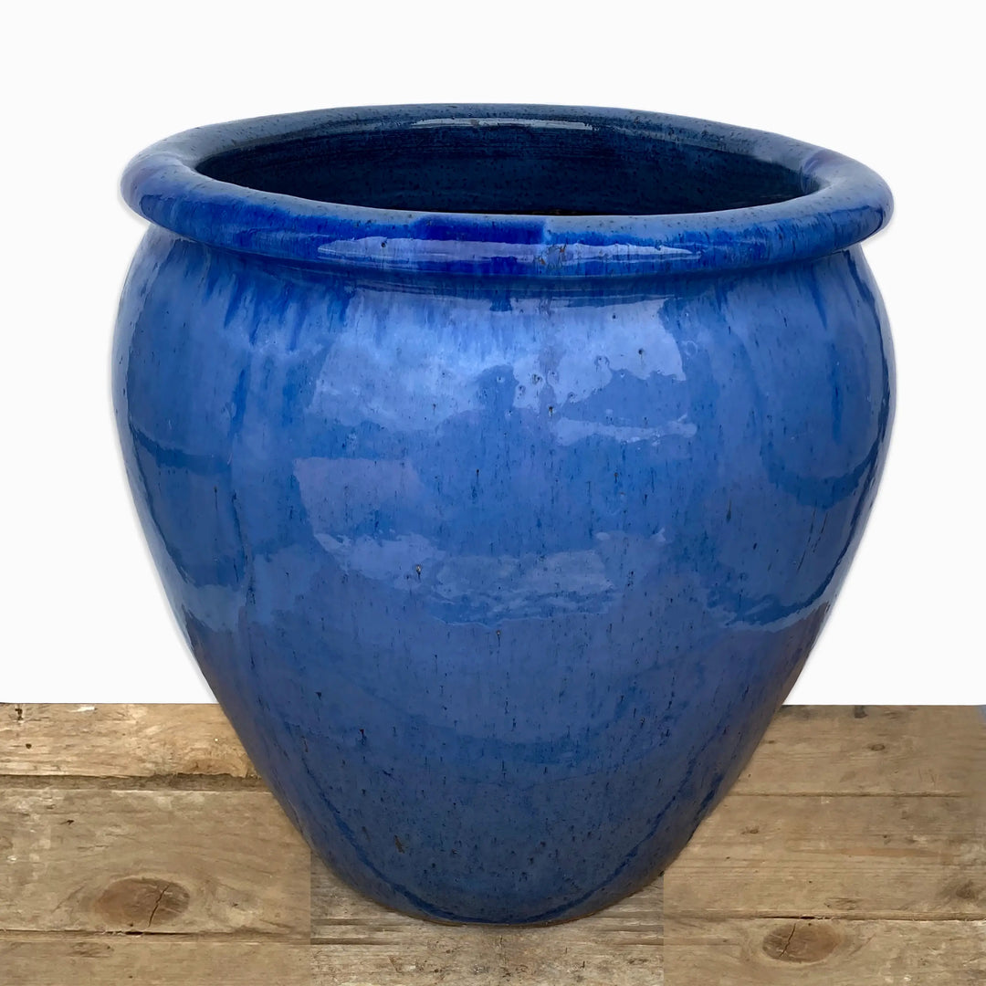 Blue Fish Bowl Planter