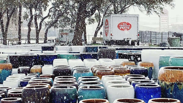 frost-resistant pottery for outdoor planters this winter