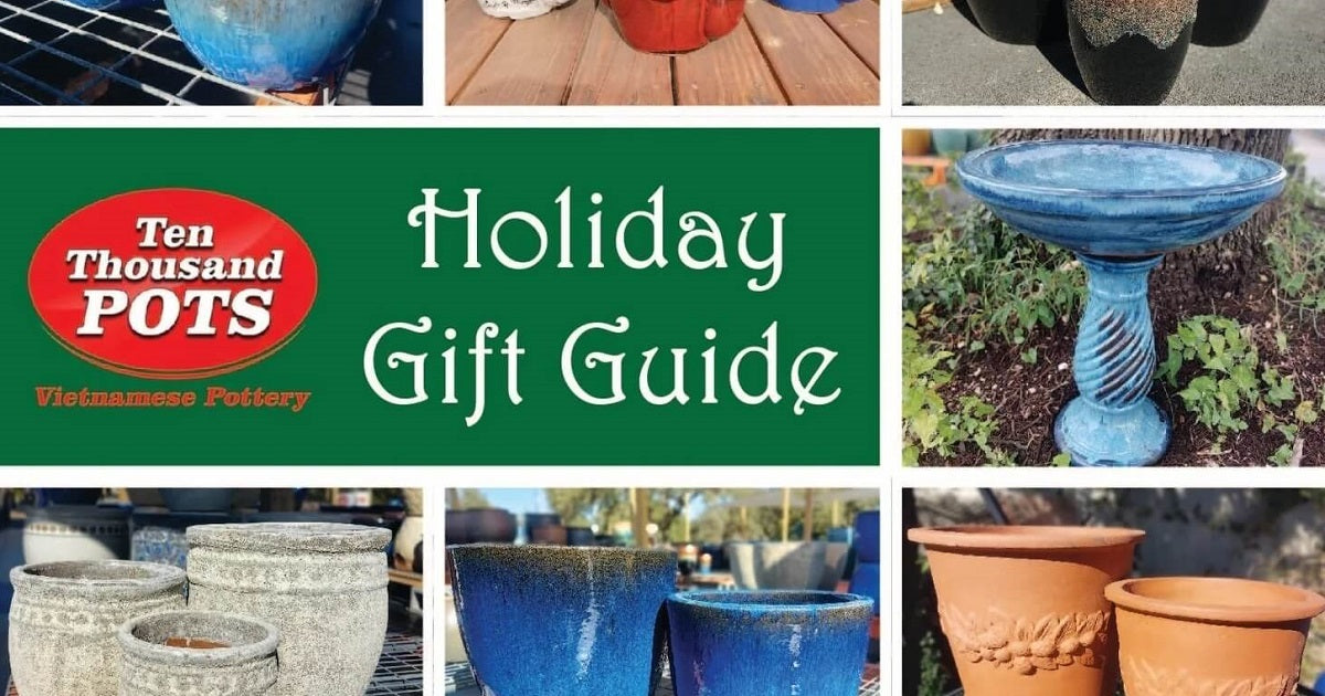 Holiday gift guide for plant lovers with unique green gift ideas