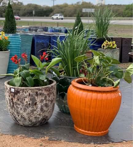 Repotting a plant into a ceramic pumpkin-style pot