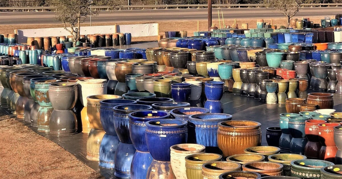 Mix of minimalist and decorative pots for indoor use