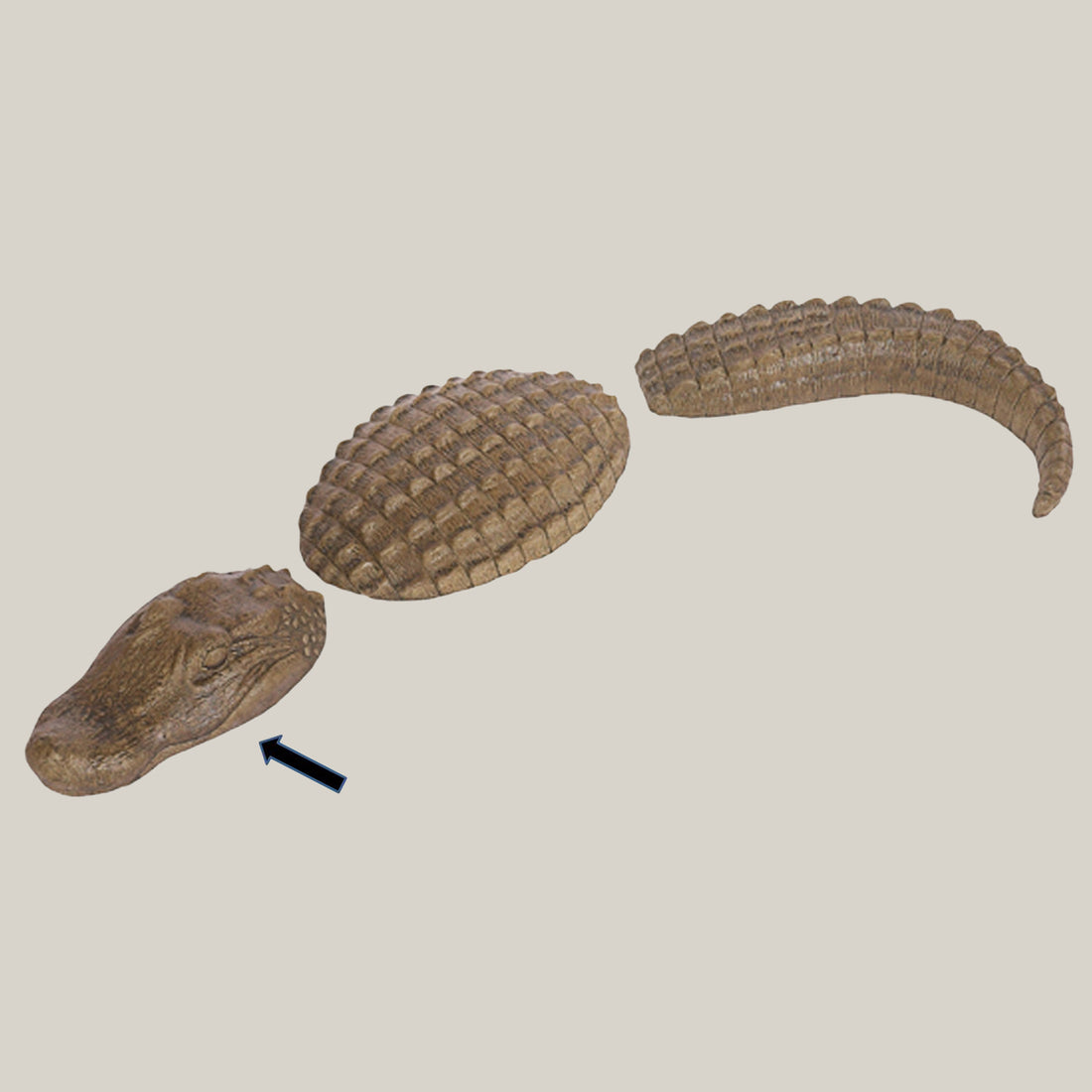 Medium 3 Piece Gator &quot;Head Only&quot; Sculpture
