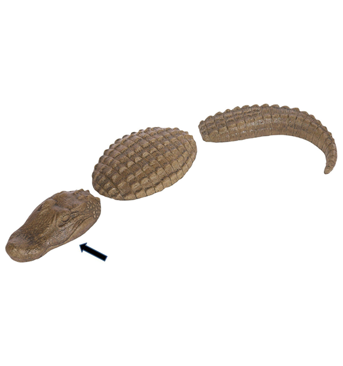 Med 3 PC Gator &quot;Head Only&quot; Sculpture