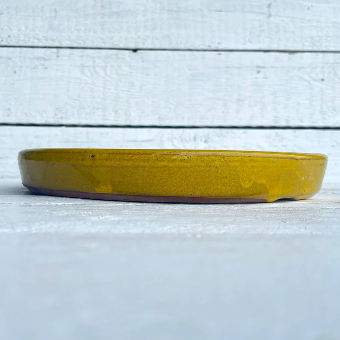 Atomic Yellow Round Ceramic Plant Saucer - side