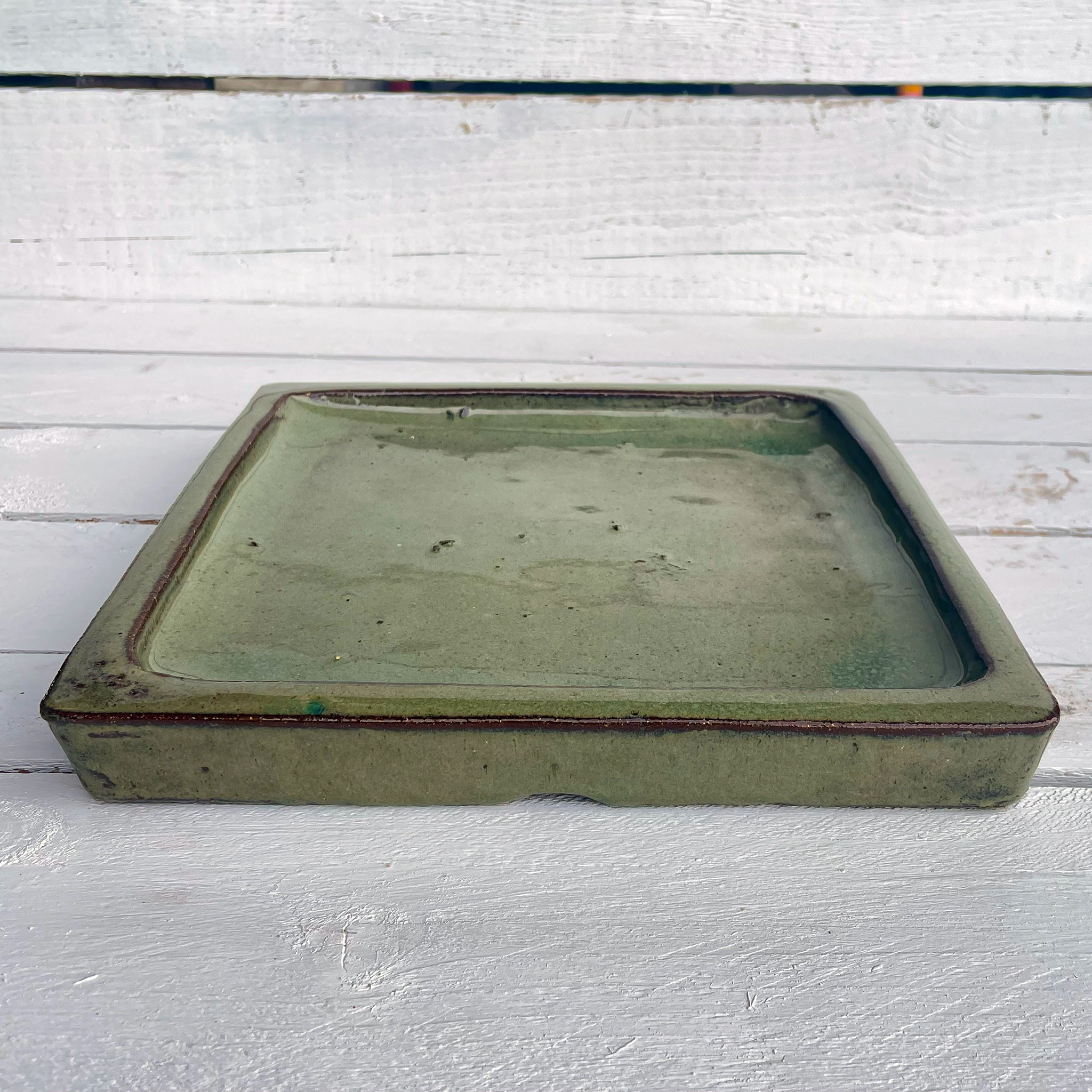 Green Cream Square Planter Saucer - Lion - Ten Thousand Pots