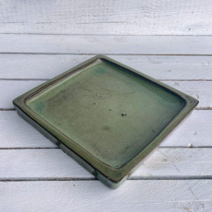 Green Cream Square Planter Saucer - Lion - Ten Thousand Pots - top