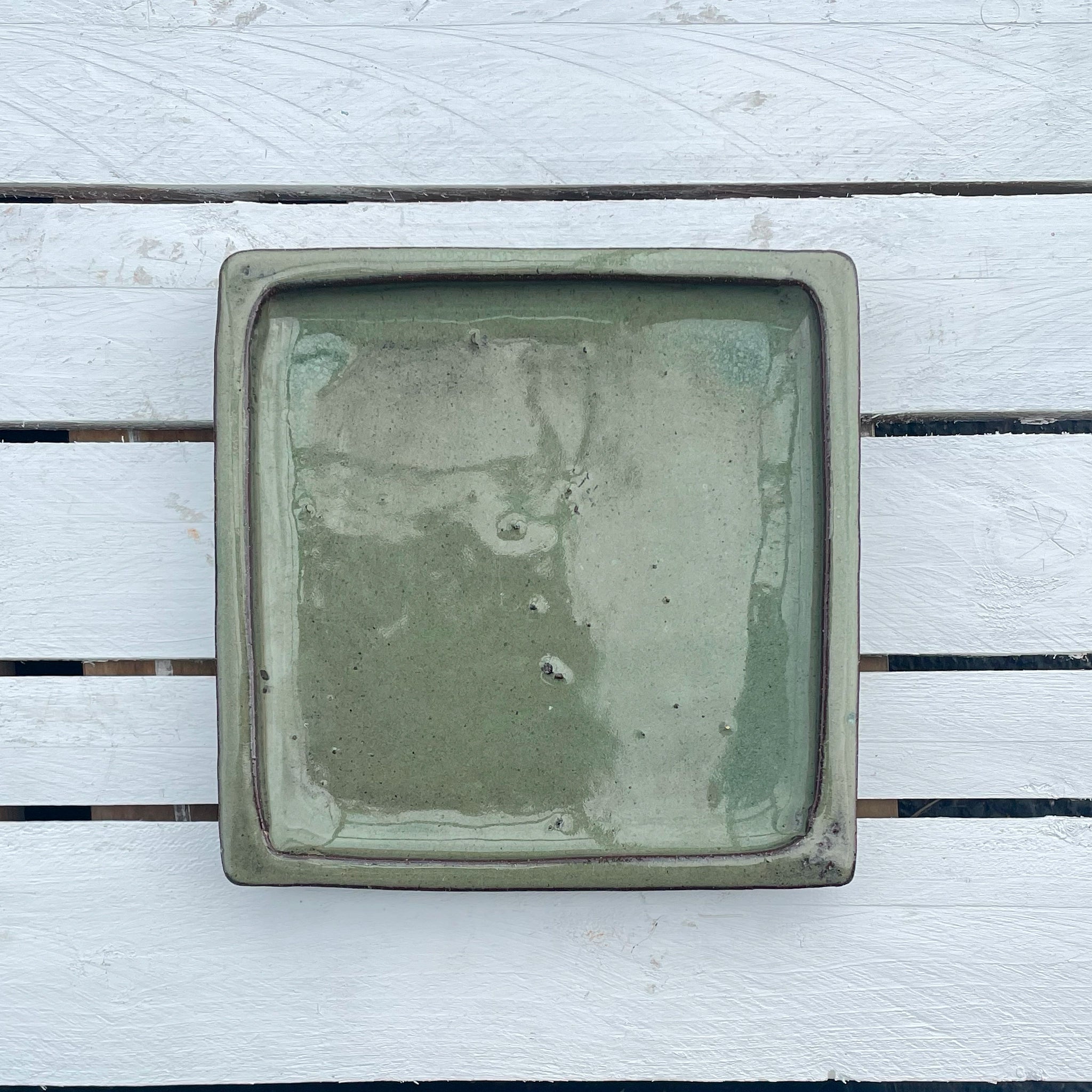 Green Cream Square Planter Saucer - Lion - Ten Thousand Pots - top