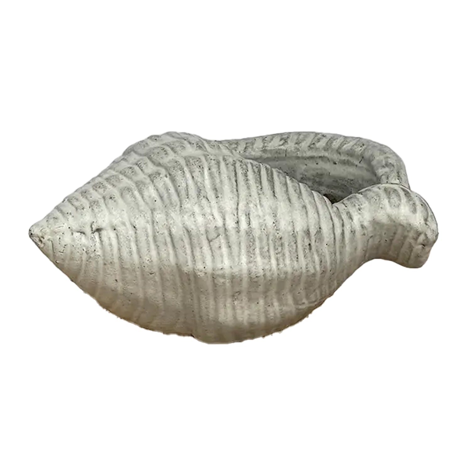view of white ceramic conch planter, highlighting the detailed shell shape and handcrafted glaze