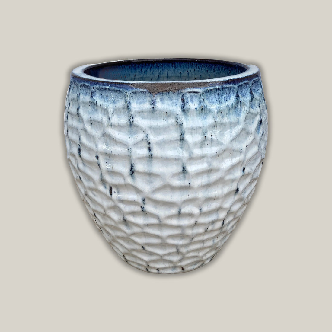 White honeycomb plant pot with blueish rim