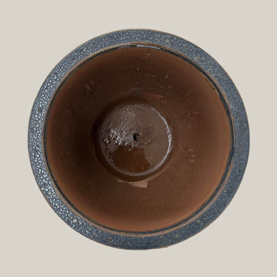 Top view of black coral lion egg planter showing circular opening and natural textured interior finish