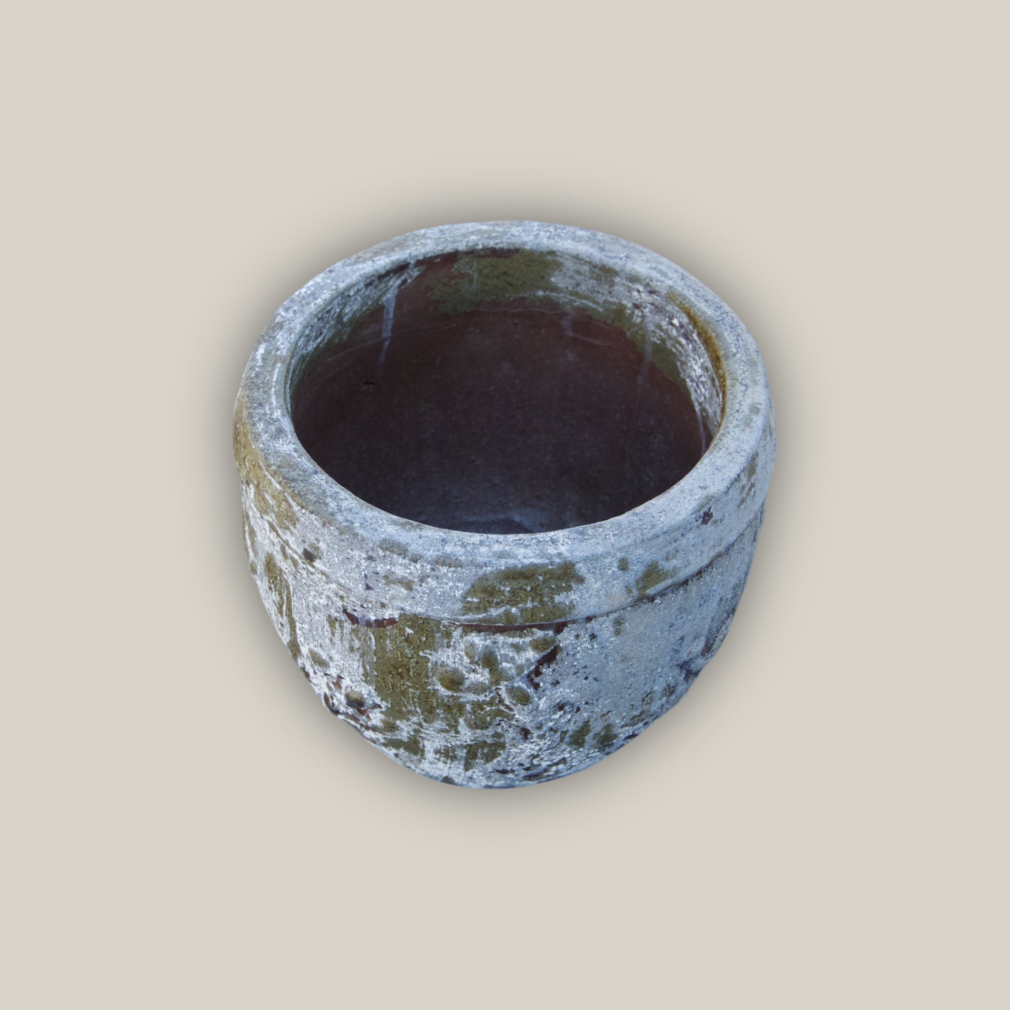 8151N21 - Atlantic Gecko Planter