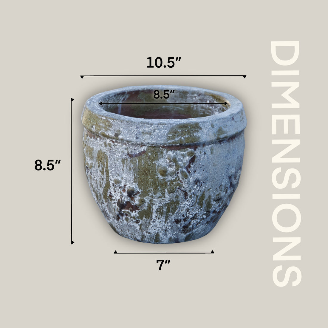 8151N66 - Antique Marble Green Gecko Planter