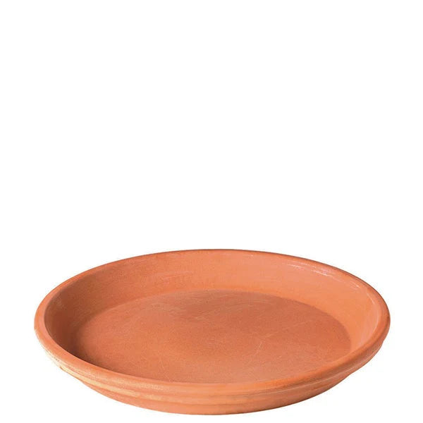 Blush Tapered Clay Terracotta Saucer