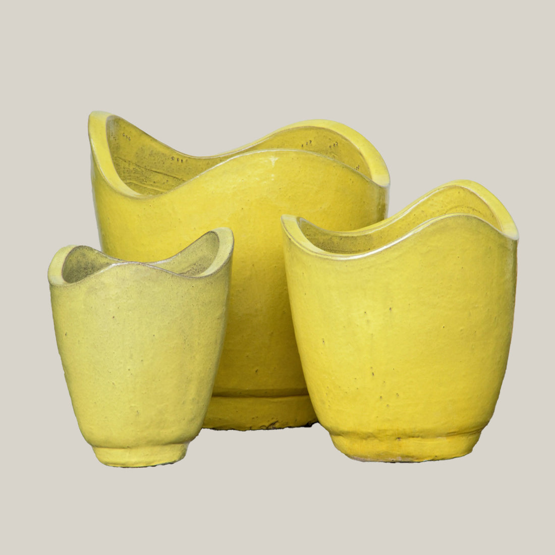 Yellow Wavy Rim Ceramic Planter