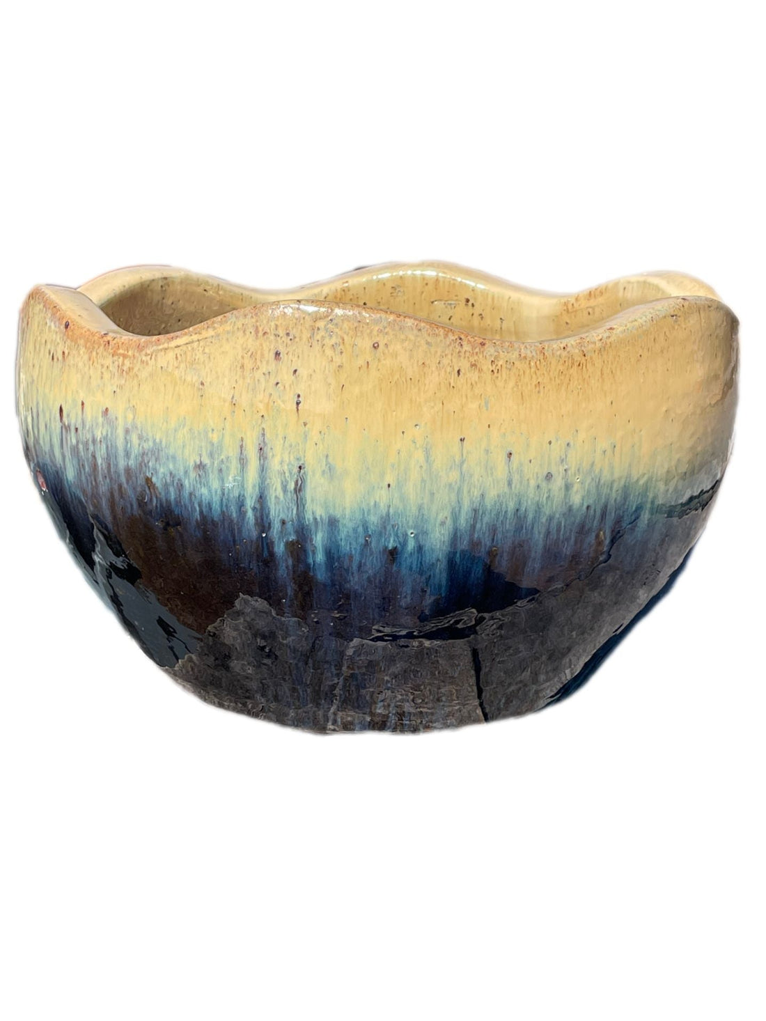 Cream and shiny black low bowl planter with wavy rim