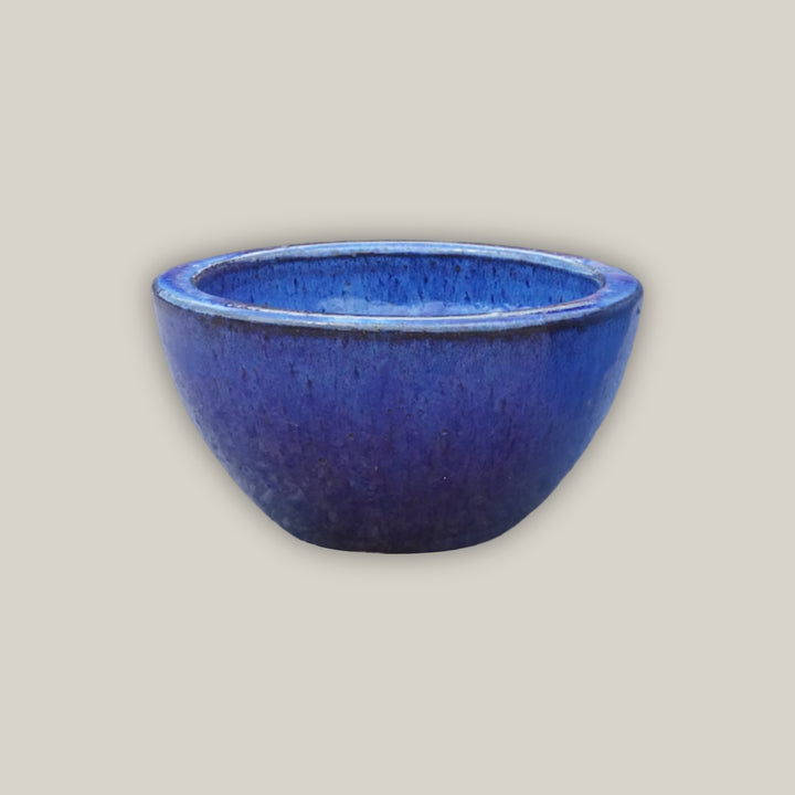 Blue Wide Succulent Bowl - Lion