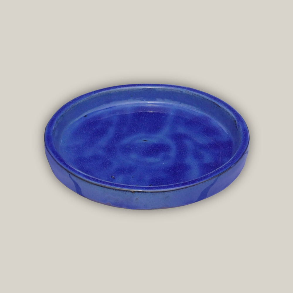 Dark Blue Round Ceramic Saucer - Lion - Ten Thousand Pots - top