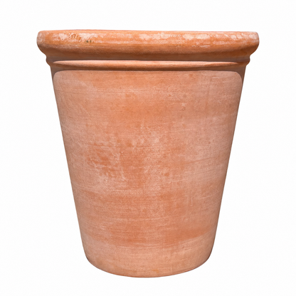 A classic terracotta planter with a wide, flared rim and conical shape, shown against a plain white background.