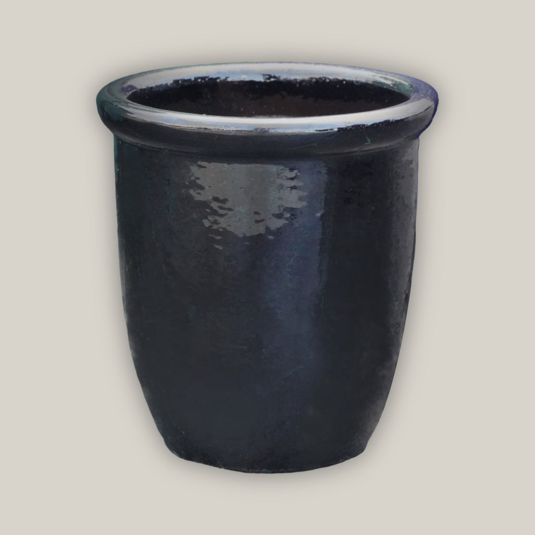 Glossy Black Cana Pot - Lion