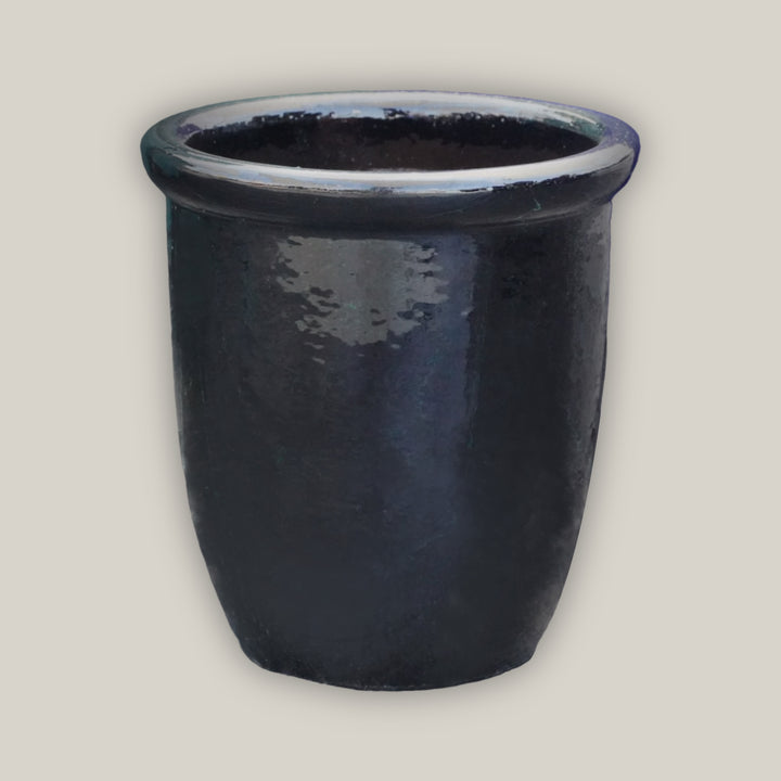 Glossy Black Cana Pot - Lion