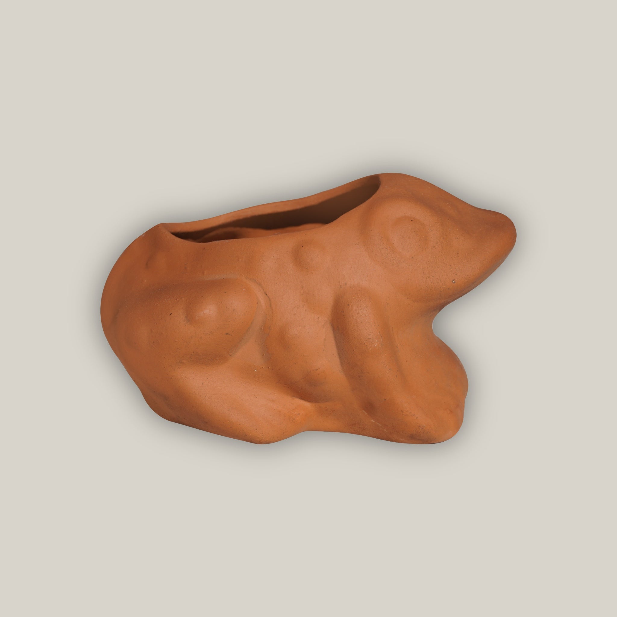 Terracotta Frog