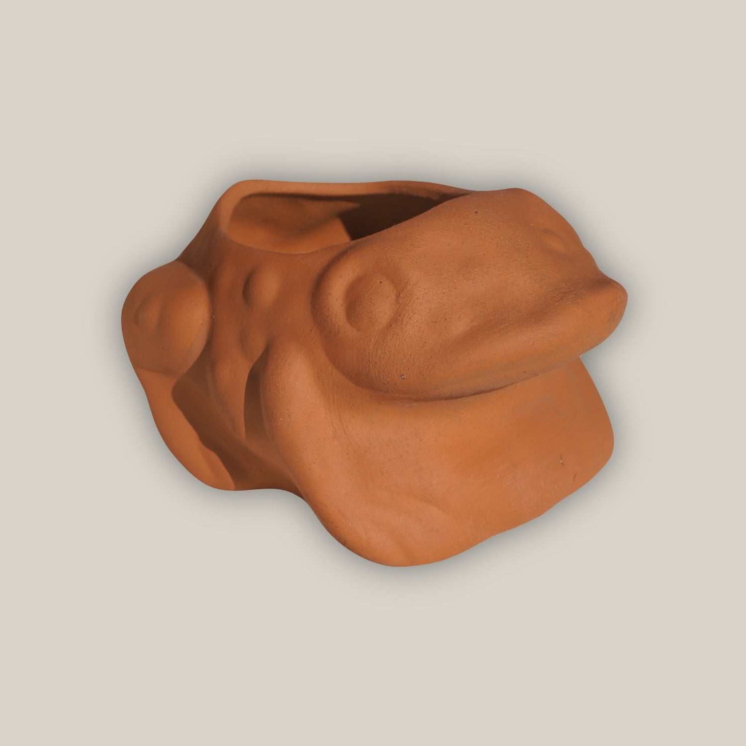 Terracotta Frog