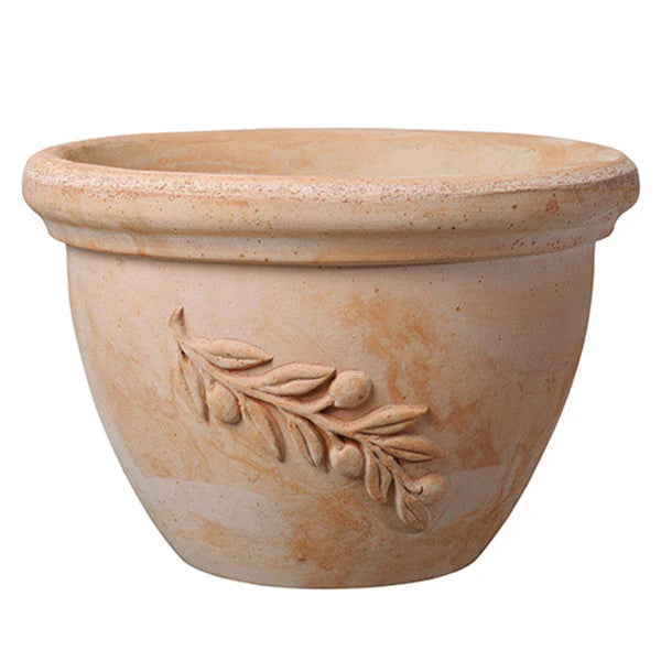 Ciotola Olive Planter