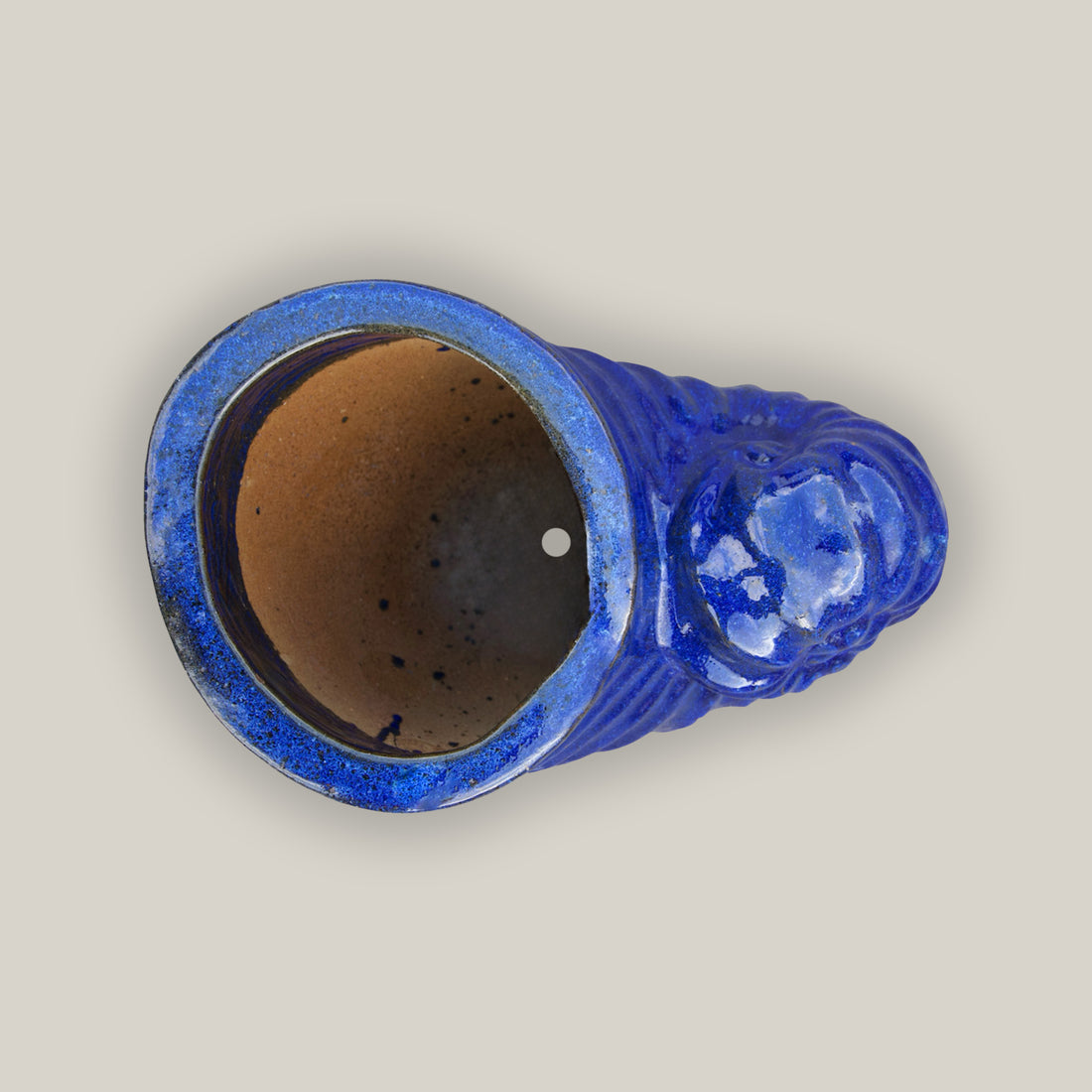 inside view of blue shell planter