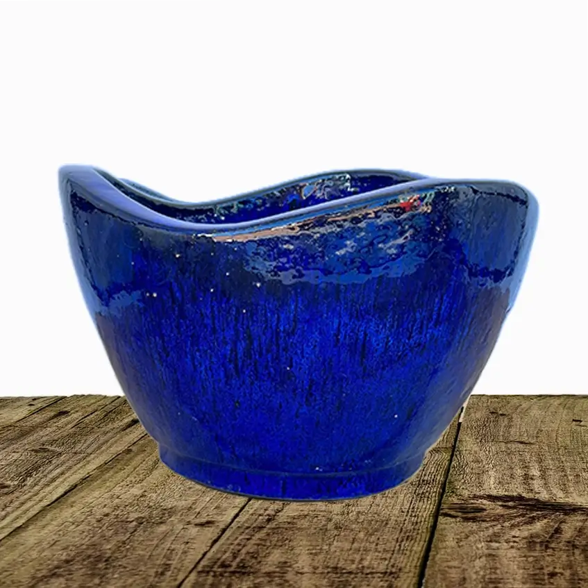 Blue Wavy Rim Low Bowl