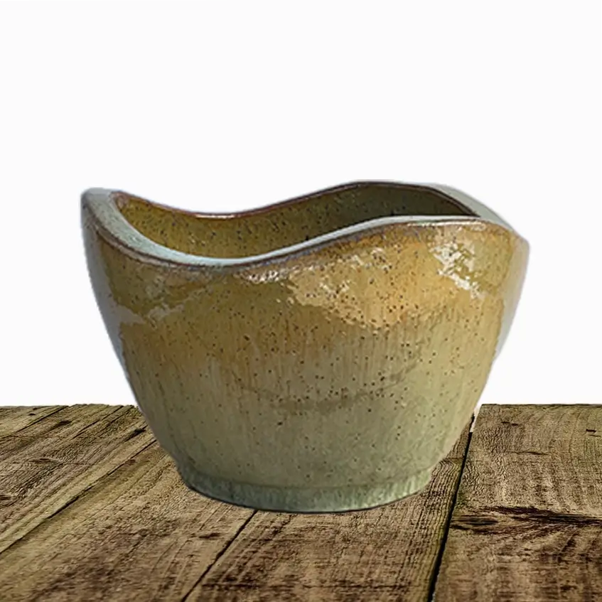 Green Avocado Wavy Rim Low Bowl