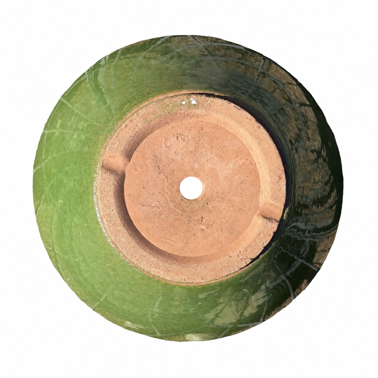 Atomic Green Low Wide Planter