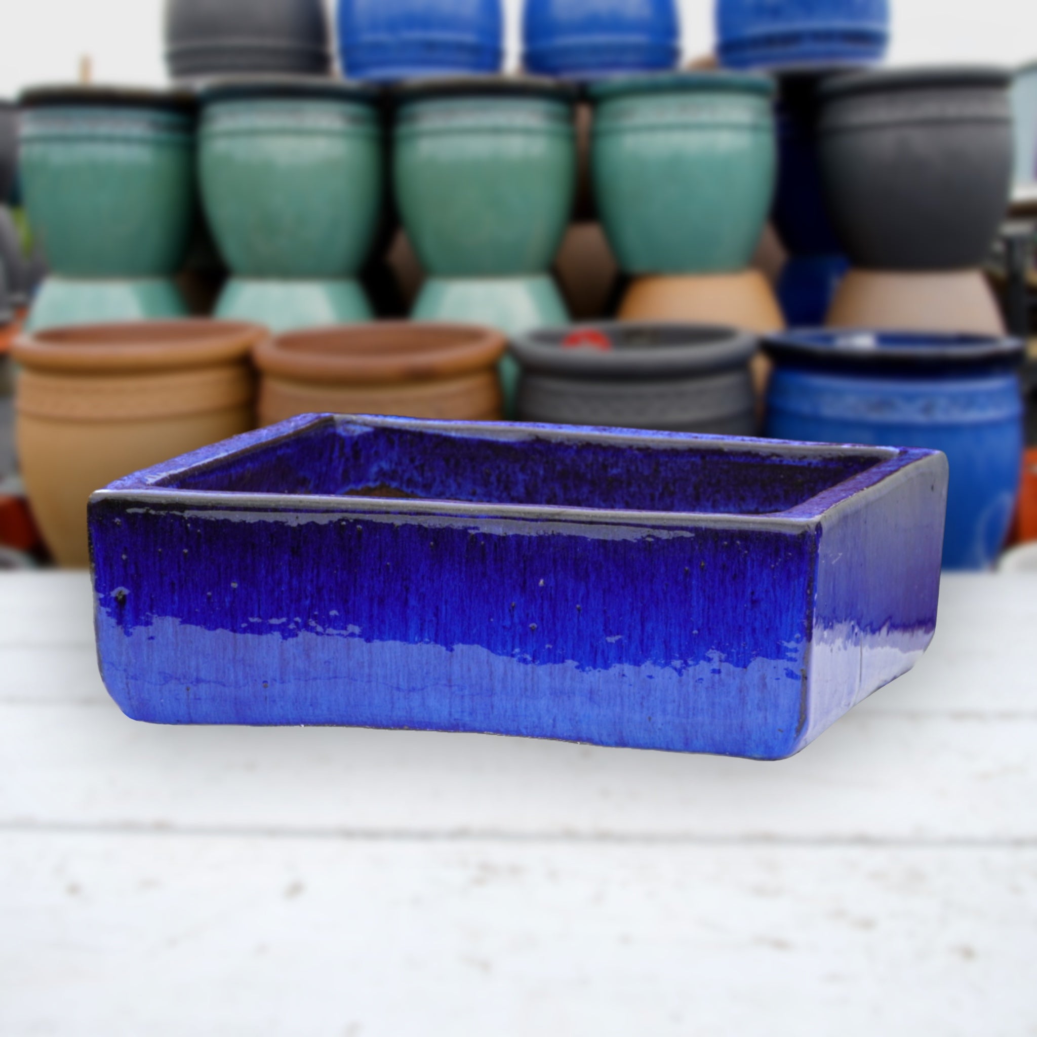 9788C1 - Cobalt Blue Low Square Ceramic Planter