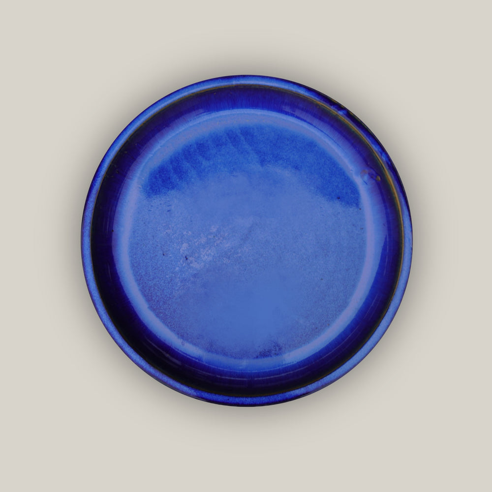 Blue Round Ceramic Saucer - Lion - Ten Thousand Pots - top