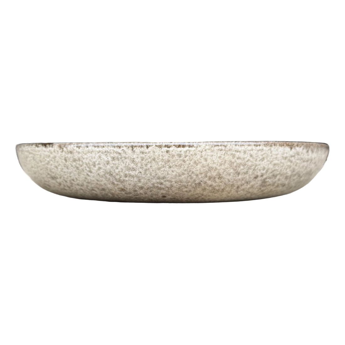 Eye-level front view of a shallow speckled bird bath bowl, with a low rounded profile and a cream glaze flecked with dark brown.